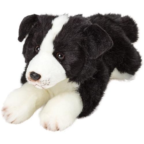 Resting Border Collie - Little Comfort Friend