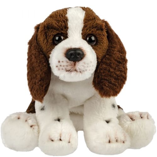 Springer spaniel - Snuggle Time Buddy
